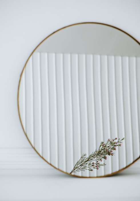 reflection-pink-waxflower-mirror